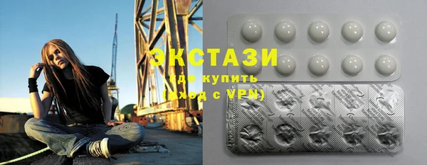 индика Надым
