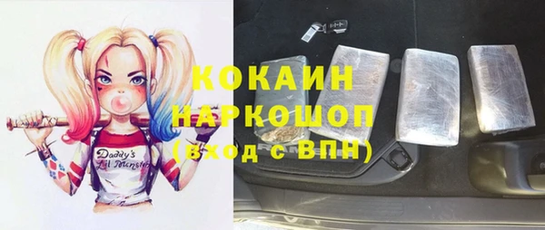 индика Надым