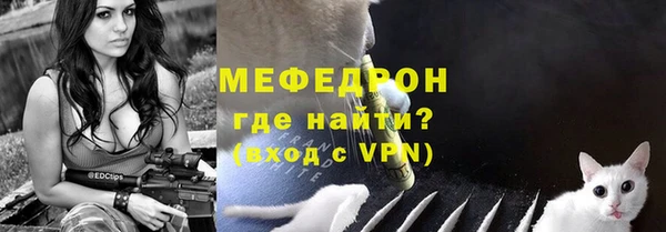 индика Надым