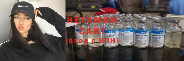 индика Надым