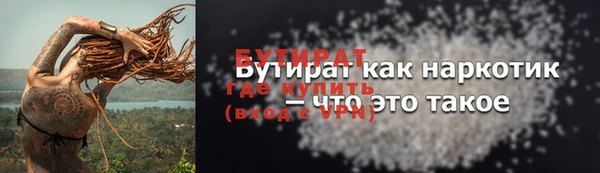 индика Надым