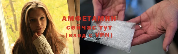 ПСИЛОЦИБИНОВЫЕ ГРИБЫ Туринск