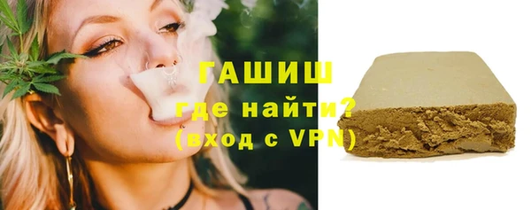 индика Надым