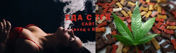 индика Надым