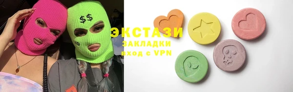 индика Надым