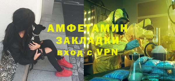 индика Надым