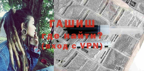 индика Надым