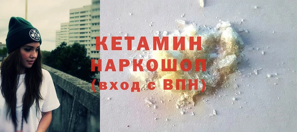 индика Надым