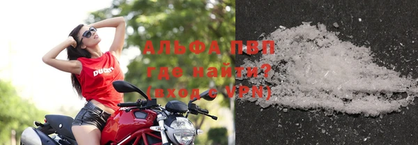 индика Надым
