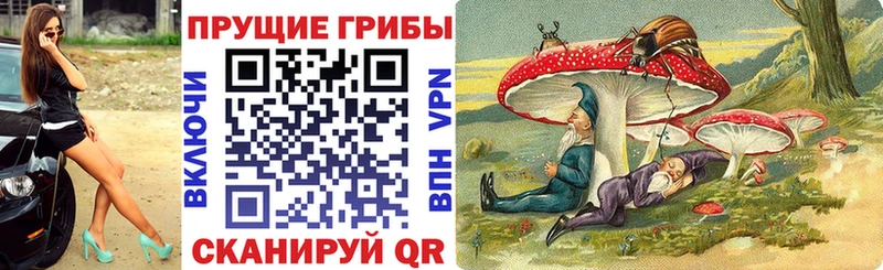 Галлюциногенные грибы мицелий  Великий Устюг 