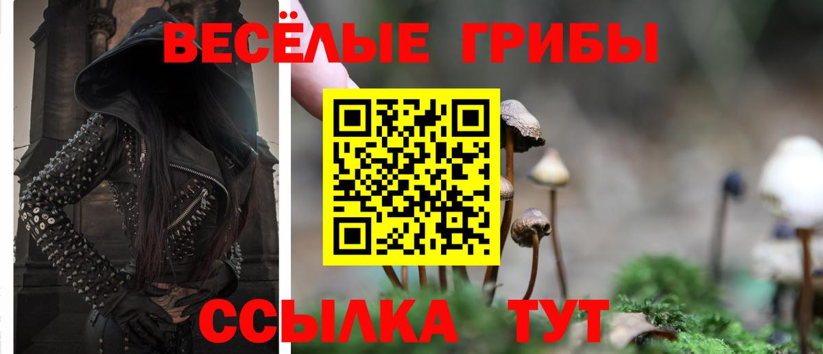 Псилоцибиновые грибы MAGIC MUSHROOMS  Галлюциногенные грибы мицелий  Великий Устюг 