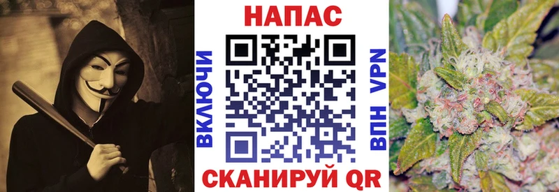 Бошки Шишки сатива  продажа наркотиков  Великий Устюг 